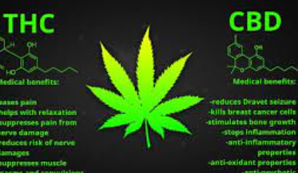 Medical Benefits Of Marijuana As CBD