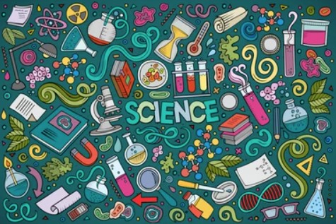 basic science curriculum