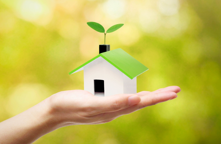 How to Make Your Home More Eco Friendly