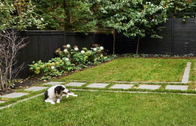 Spring Landscaping