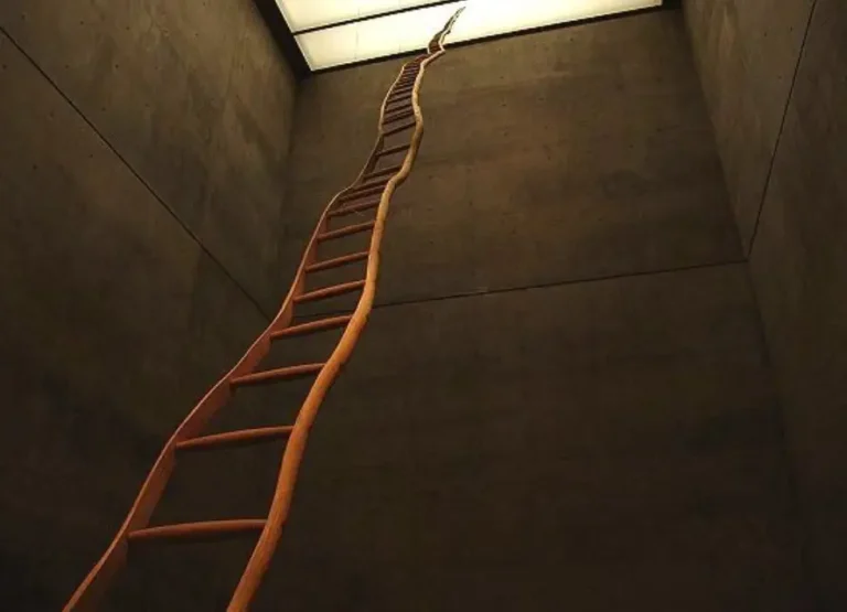 ladder for booker t washington strathaven.s-lanark.sch.uk