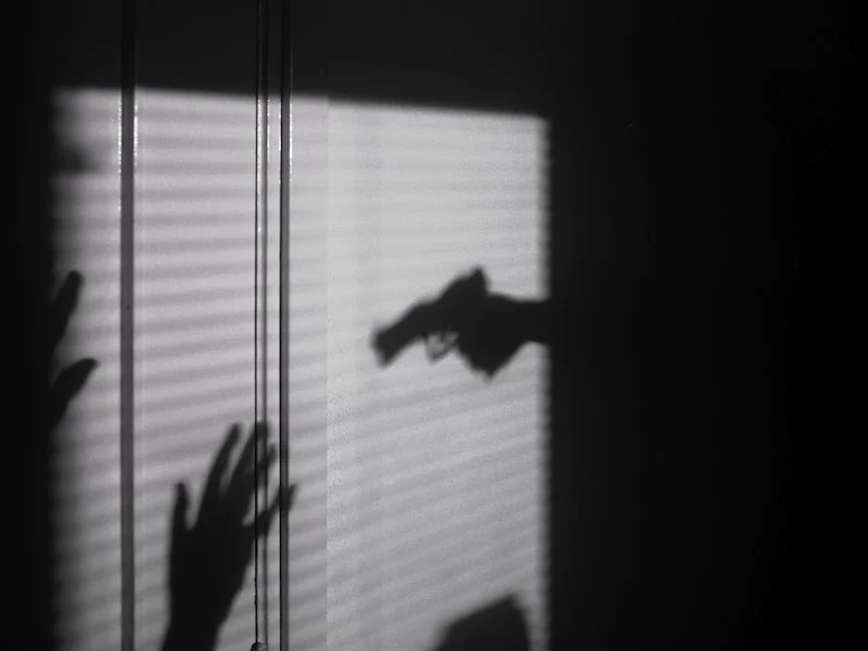 domestic violence restraining order process - Held at gunpoint