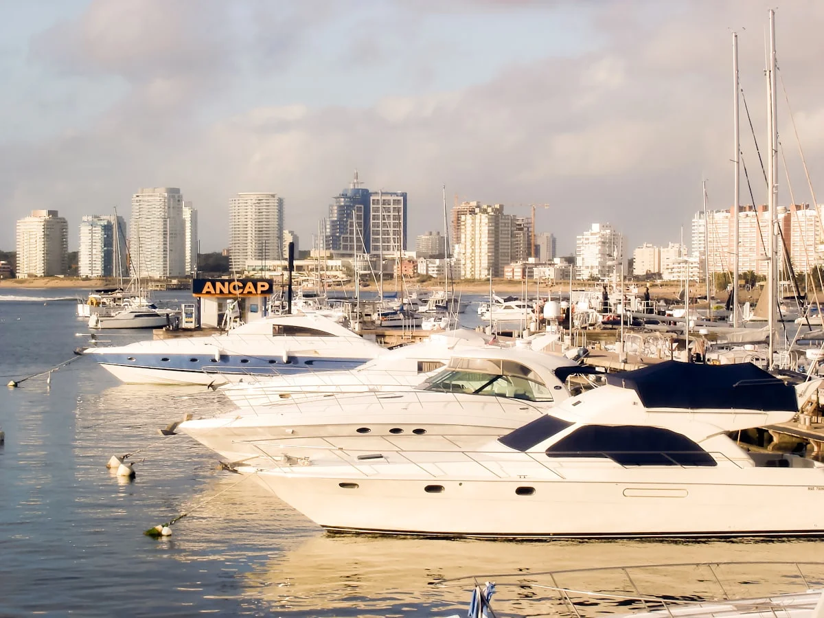 how much does a yacht rental cost in Miami - None