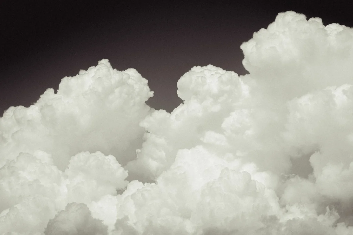 how much does Adobe Creative Cloud cost - None