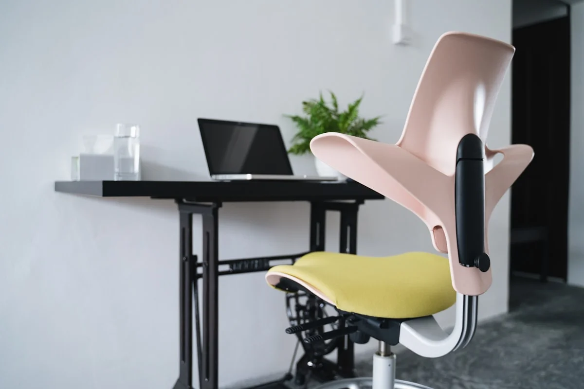 best ergonomic office chair for back pain - Work From Home Series
