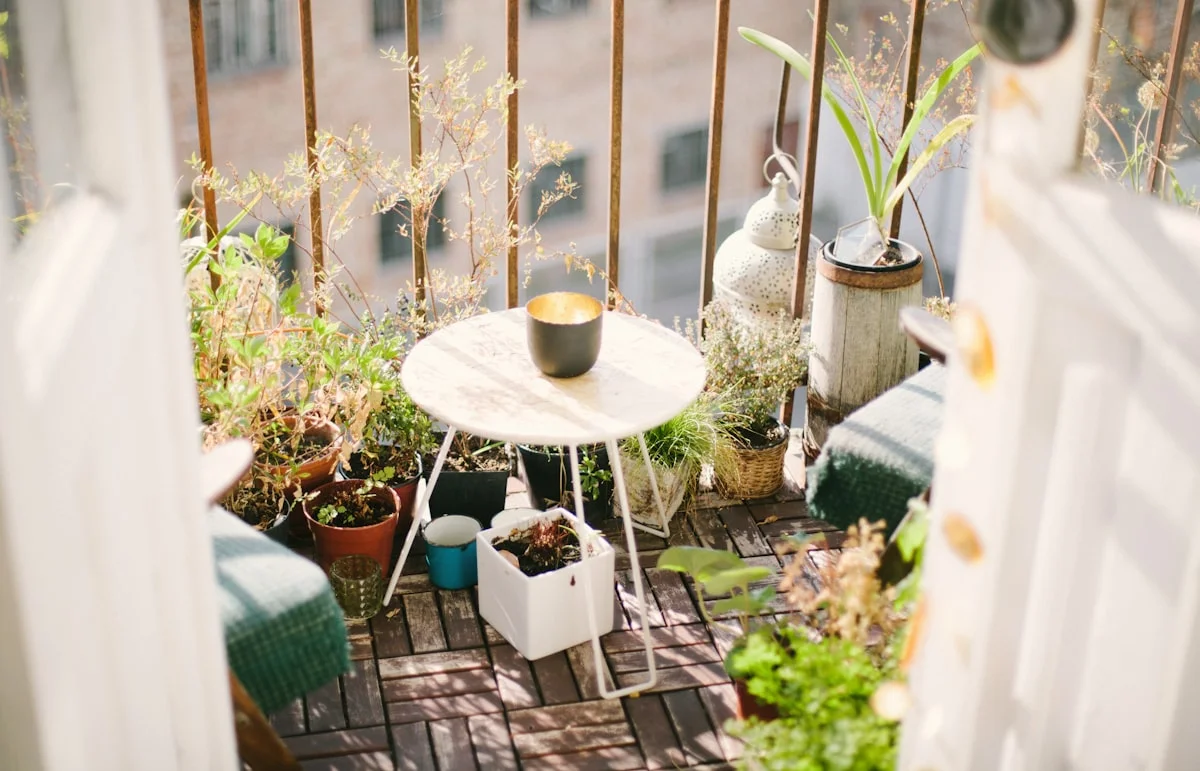 small space gardening ideas for apartments - Early September morning was warm and inspirational:)