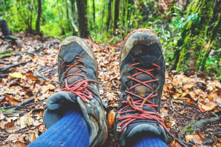 how to choose the best hiking trail shoes for beginners - hiking in the jungle