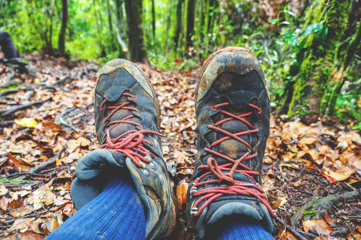 how to choose the best hiking trail shoes for beginners - hiking in the jungle