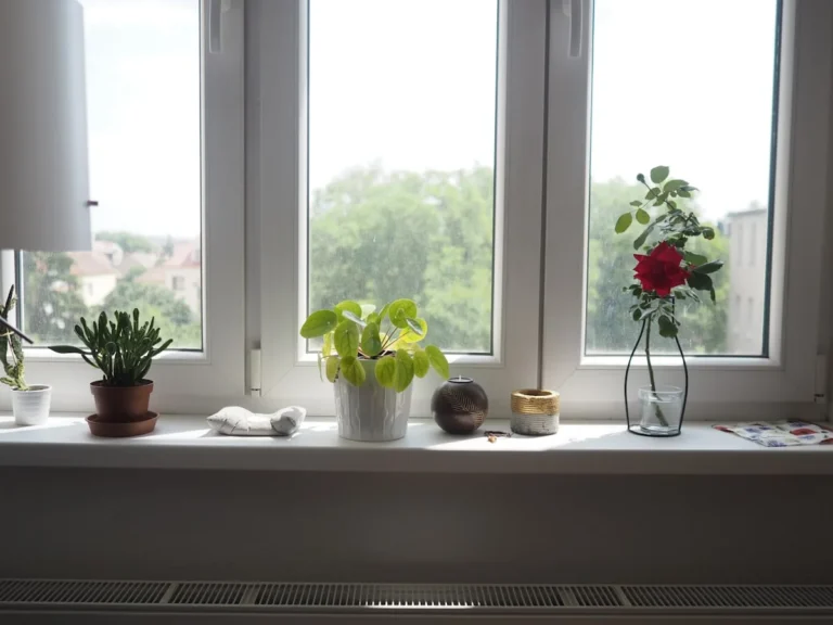 how to improve indoor air quality in small homes - Home.