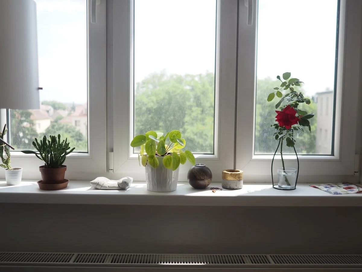 how to improve indoor air quality in small homes - Home.
