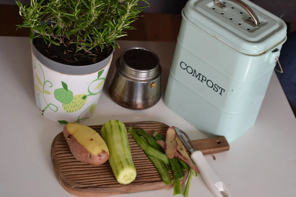 how to start composting at home in an apartment - Composting and sorting of biowaste from household