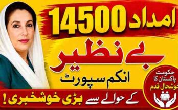 Benazir Income Support Program
